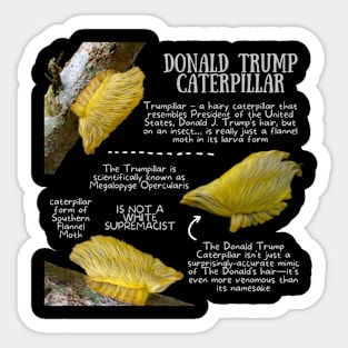 Animal Facts - Trump Caterpillar Sticker